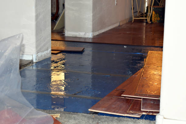 Professional Emergency Water Damage Restoration technician working in Levittown, PA